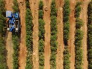 விவசாயம் மற்றும் மீன்பிடி வேலை செய்யும் 95.3% வெளிநாட்டினர்.