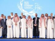 உலகின் மிகப்பெரிய பசுமை ஹைட்ரஜன் திட்டத்திற்கு நிதியளிக்கும் தேசிய வளர்ச்சி நிதியம்.