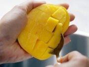 உலகளாவிய விவசாயப் பொருளாதாரத்தை மாற்றும் வகையில் தபூக்கில் கூட்டுறவுகள் தொடங்கப்பட்டன.