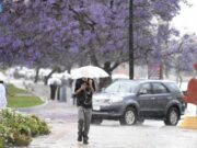 தற்போதைய இலையுதிர்காலத்தில் சவூதியின் பெரும்பாலான நகரங்களில் சராசரியை விட அதிக மழைப் பெய்ய வாய்ப்பு.