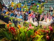 பசிபிக் தீவு நாடுகளுடன் சுற்றுலா ஒத்துழைப்பை மேம்படுத்துவது பற்றி விவாதித்த சவூதி அமைச்சர்.