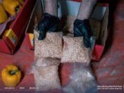 துபா துறைமுகத்தில் போதைப்பொருள் கடத்தும் முயற்சியை ஜகாத், வரி மற்றும் சுங்க ஆணையம் முறியடித்துள்ளது.