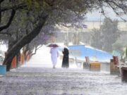 ஆசிர் பகுதியில் பெய்த மழை, ஜக்கராண்டா பூக்கும் மலர்களுக்கு களம் அமைத்துள்ளது.
