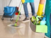 மனிதவள அமைச்சகம், வீட்டுப் பணியாளர்களுக்கான ஊதியப் பாதுகாப்புச் சேவையை ஜூலை 1 முதல் செயல்படுத்தத் தொடங்குகிறது.