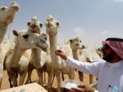 திரும்பப் பெறும் காலத்தில் இறைச்சியை உட்கொள்வது மனிதர்களுக்கு நோய்களை ஏற்படுத்தும் என்பது உண்மையல்ல: வேளாண் அமைச்சகம்.